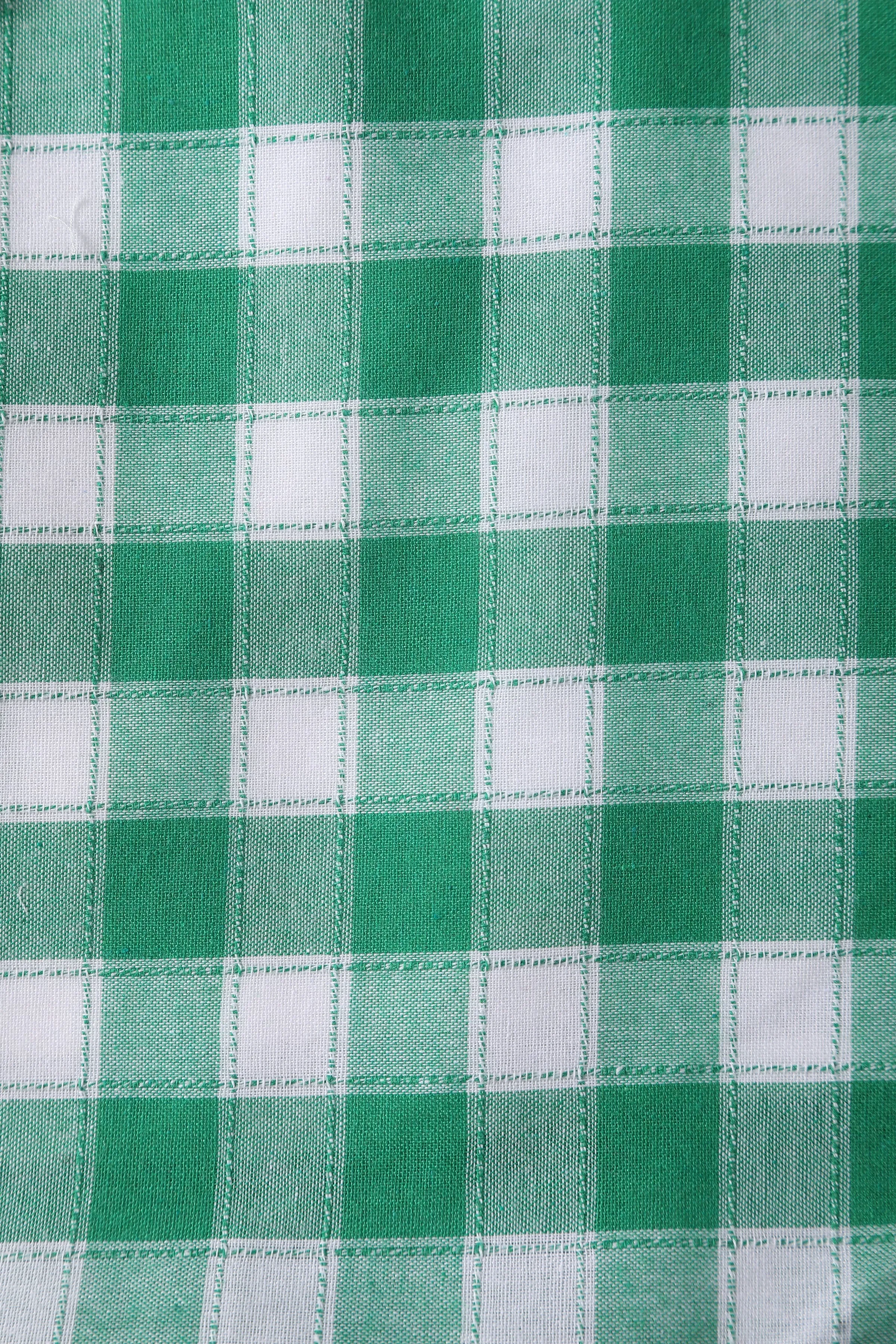 Amanda Green Gingham 1950's Fit and Flared Dress