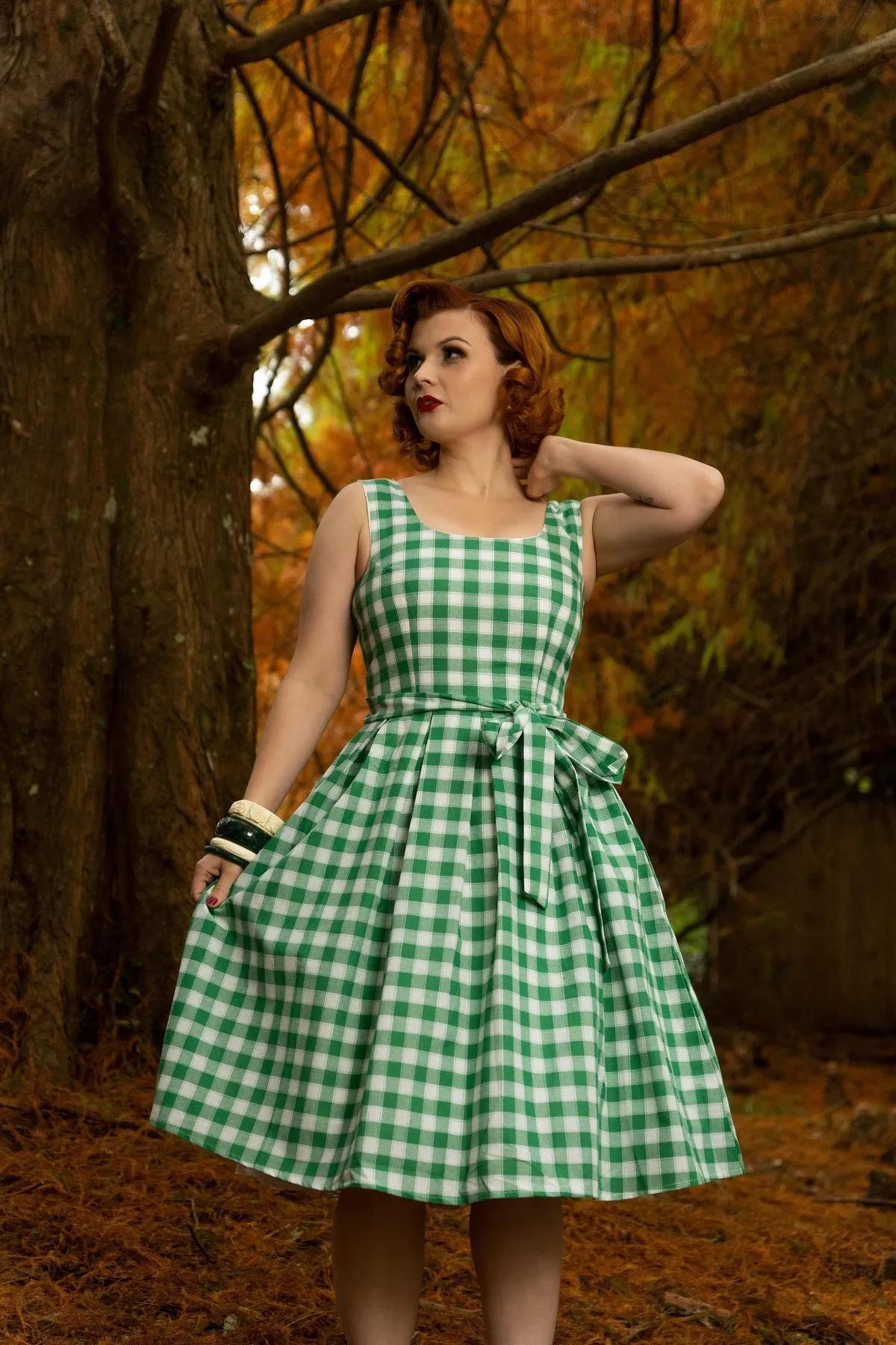 Amanda Green Gingham 1950's Fit and Flared Dress