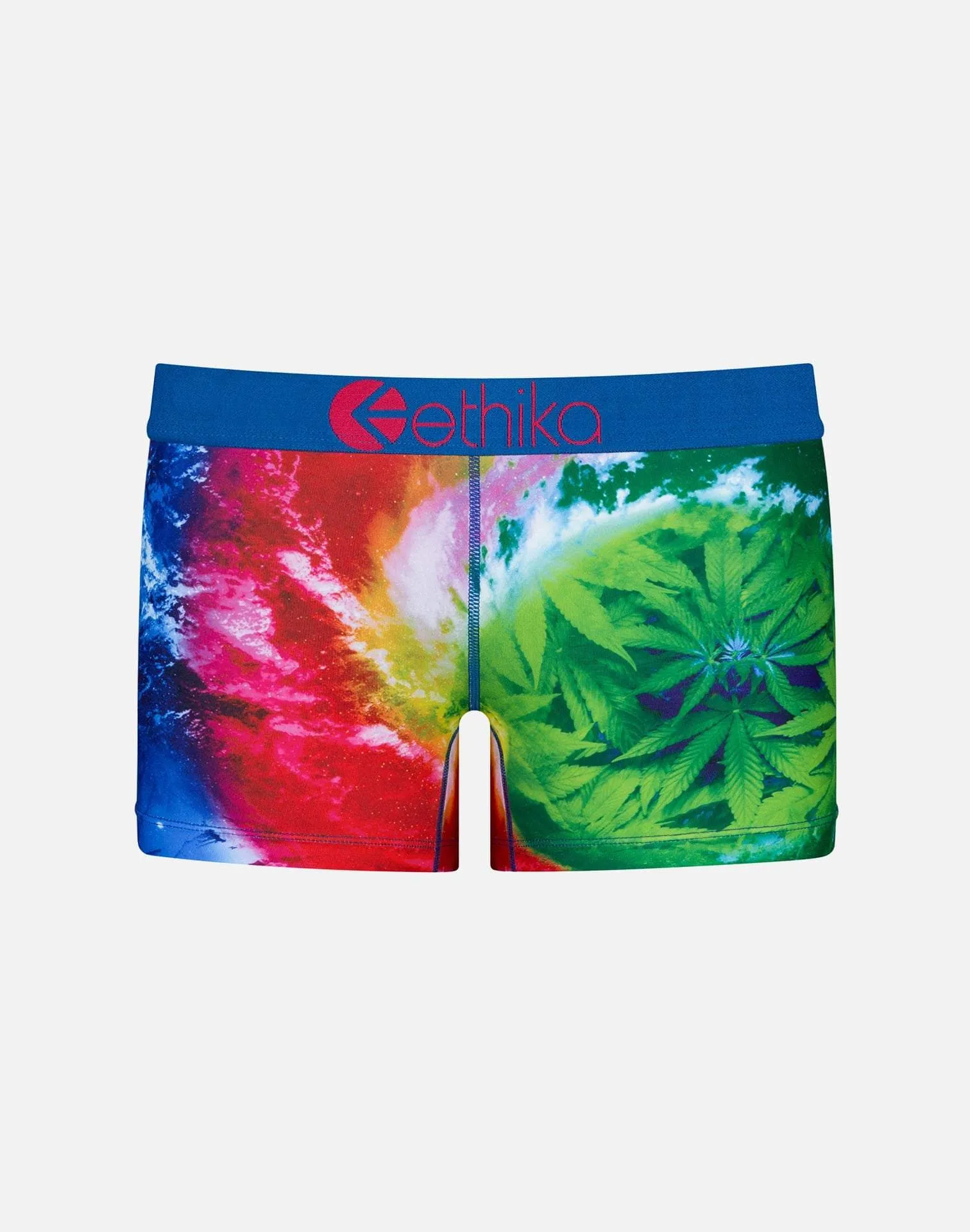 Ethika RAINBOW GREENS BOY SHORTS